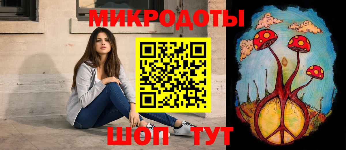 Галлюциногенные грибы Psilocybine cubensis Саров