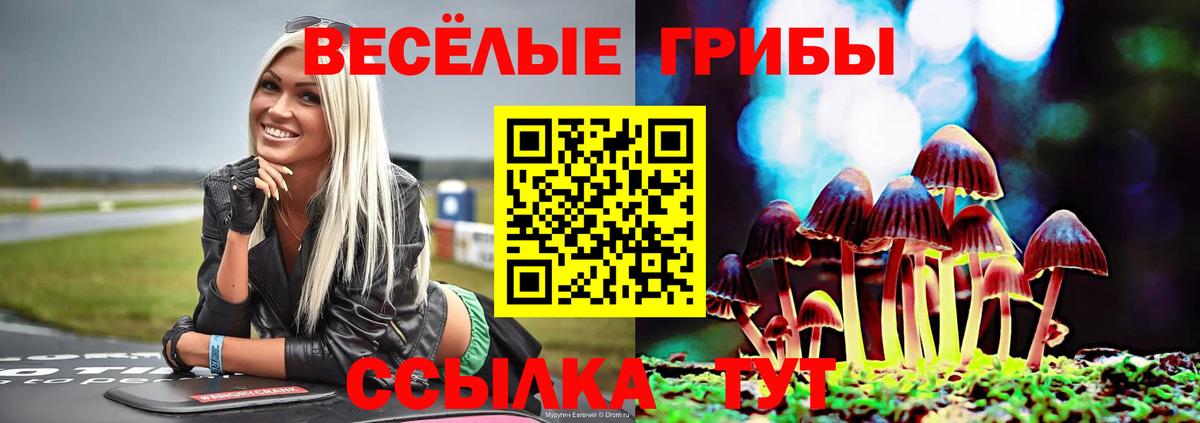 Псилоцибиновые грибы Magic Shrooms  Вход с VPN  Саров 